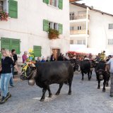 Cette année, les vaches ne traverseront pas le village de Sembrancher à l'occasion de la désalpe.